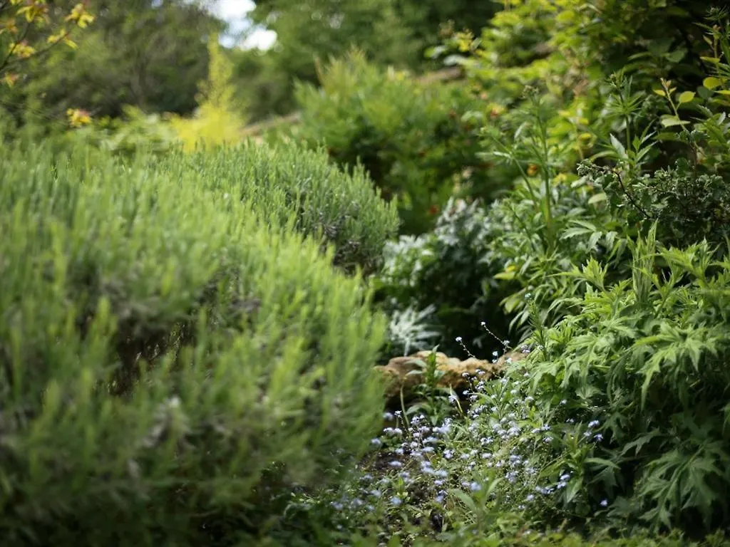 Percy Place Bed & Breakfast Bath United Kingdom